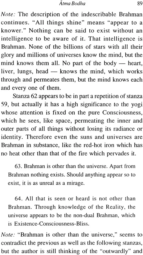 Advaitic Sadhana - Image 8