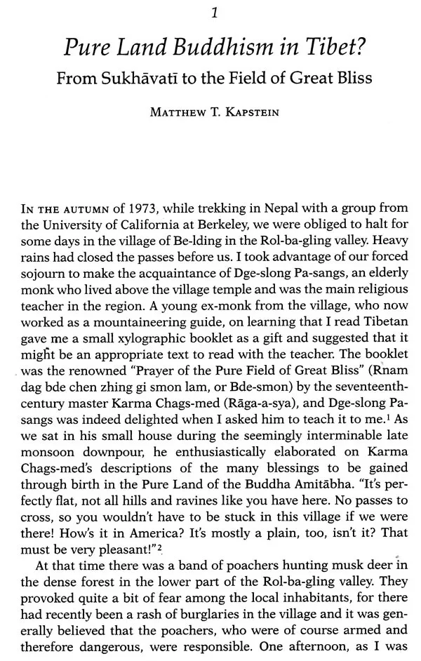 Approaching the Land of Bliss - Image 4