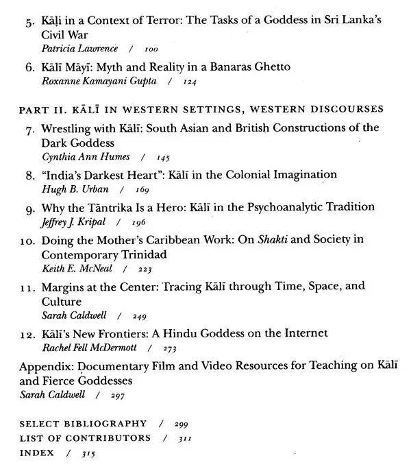 Encountering Kali - Image 3