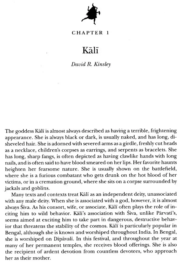 Encountering Kali - Image 4
