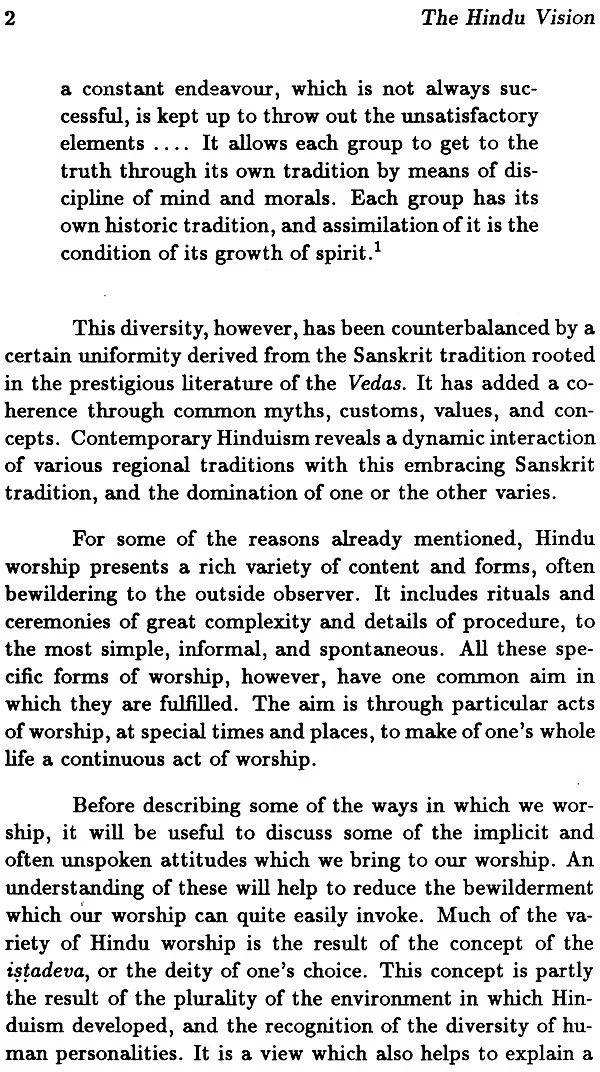 The Hindu Vision - Image 3