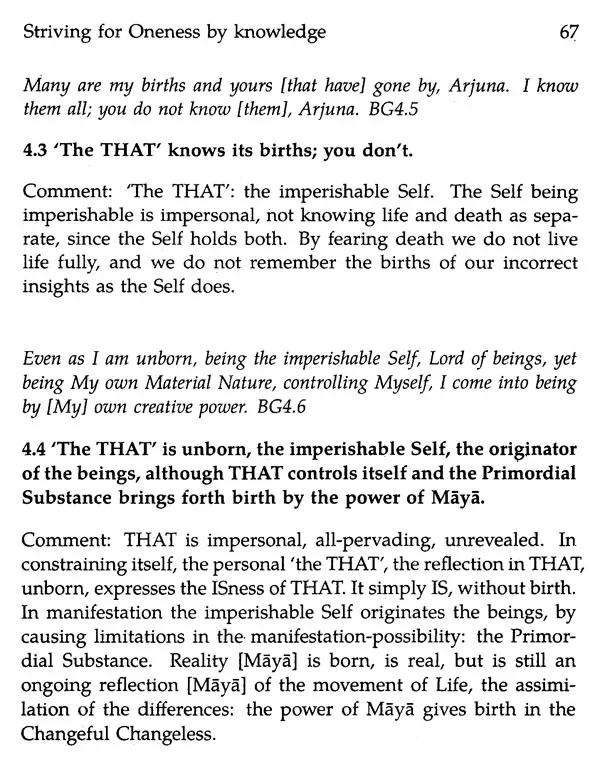 The Original Gita - Image 7