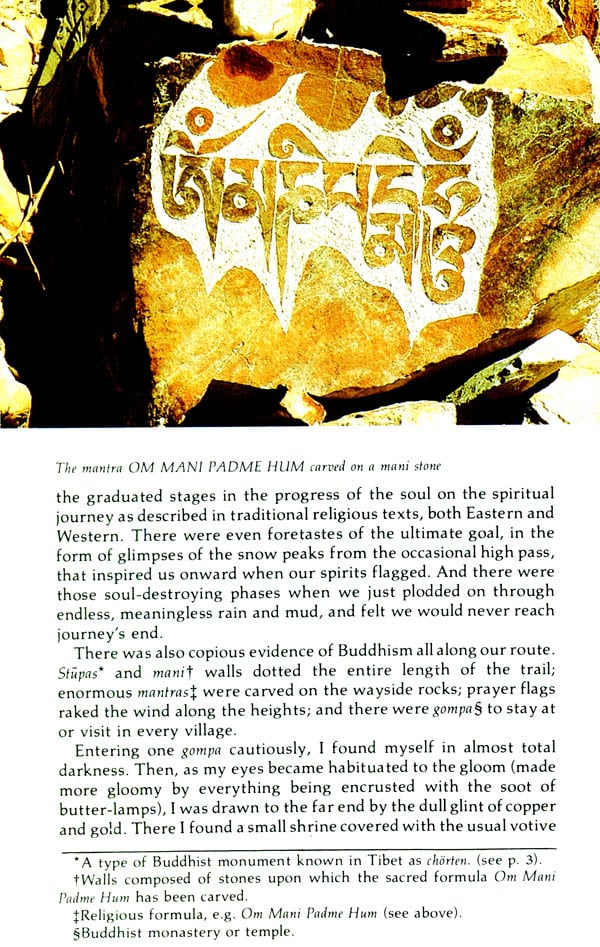 The Sacred Mountain - Image 3