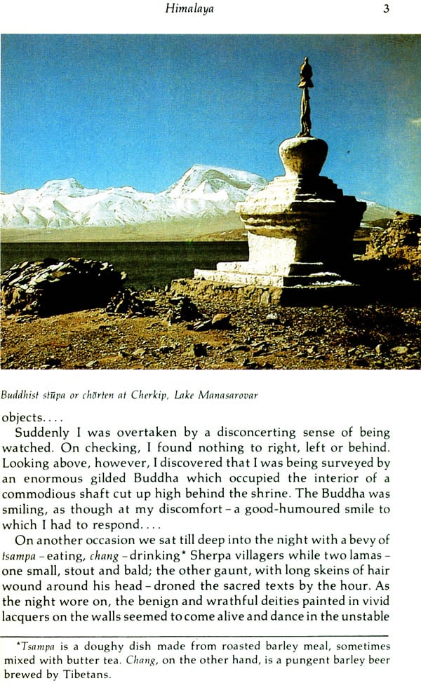 The Sacred Mountain - Image 4