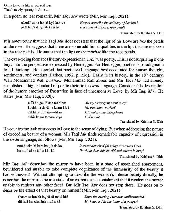 The Wonder That Is Urdu - Image 4